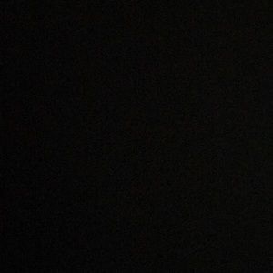 Meet your Posher, Lilly